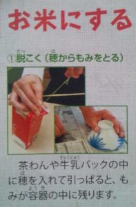 バケツ稲_マニュアル