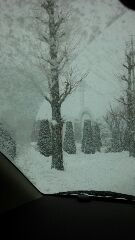 雪