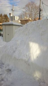 ドカ雪