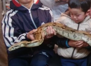 蛇と三男