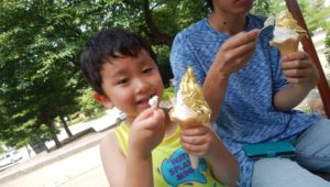 金箔ソフト